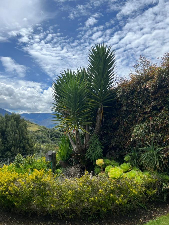 Hotel, Bungalows, Chalet Y Cabanas Aventura Park Villa De Leyva La Periquera 外观 照片